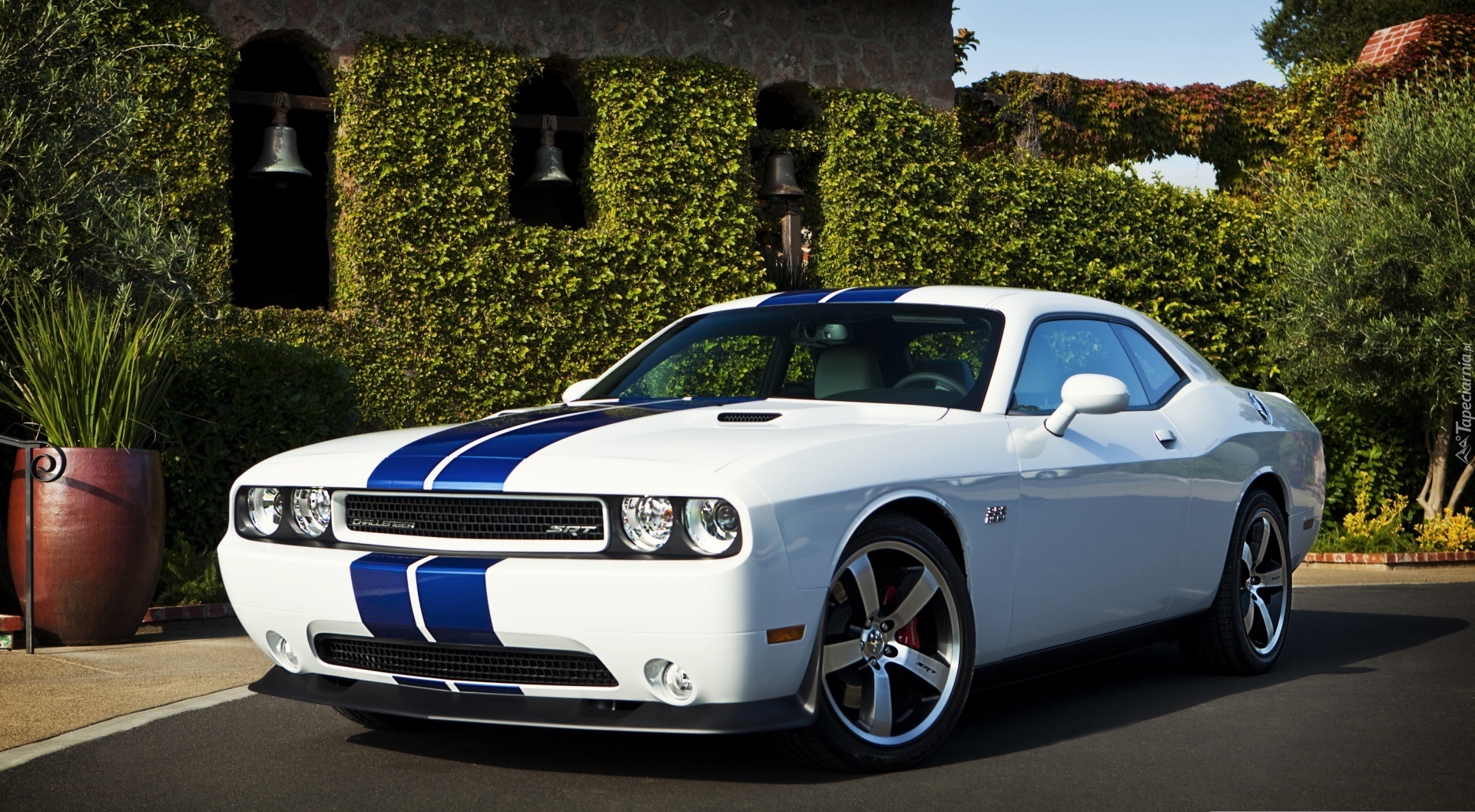 Dodge Challenger SRT8, Dom