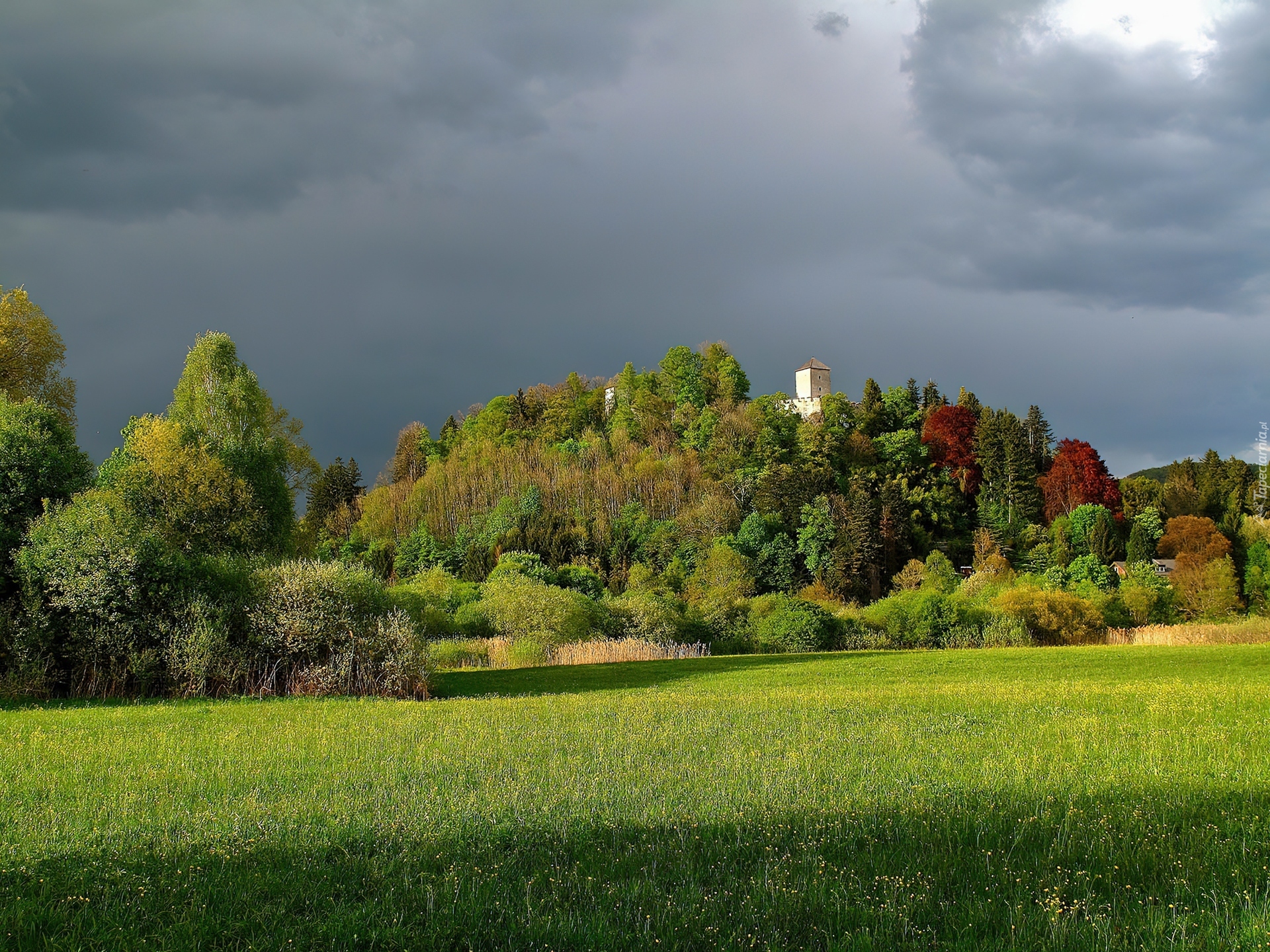 Zamek, Wzgórze, Drzewa, Łąka