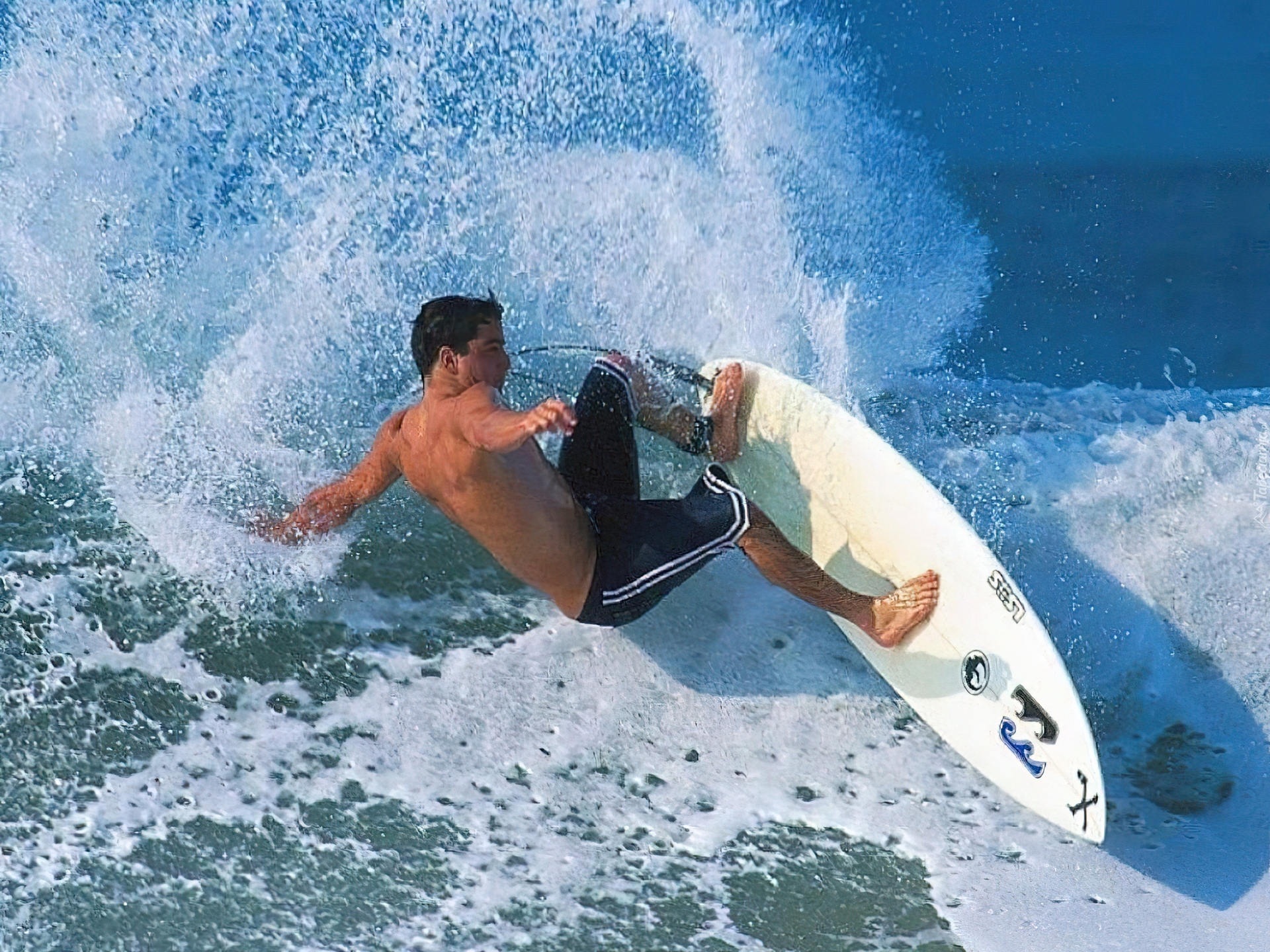 Windsurfing,biała deska