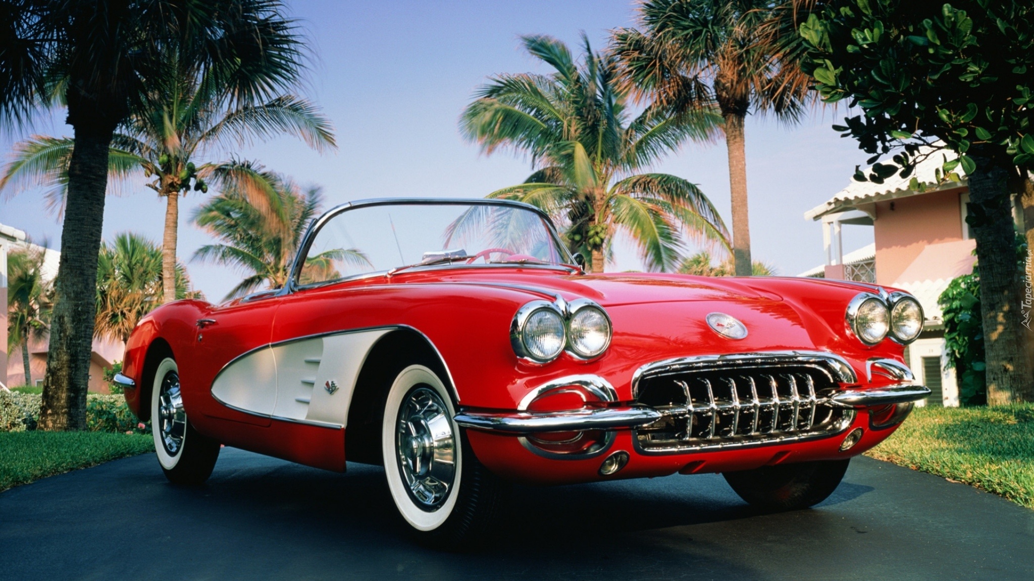 Czerwony, Samochód, Chevrolet, Corvette, Palmy