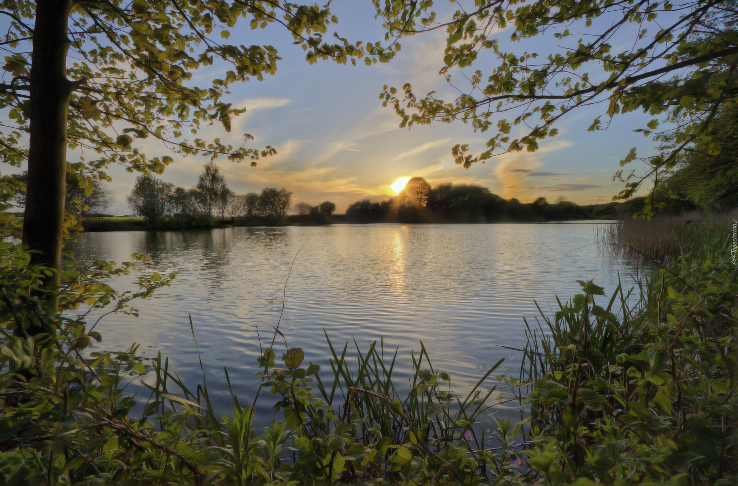 Jezioro, Zachód, Słońca, Drzewa