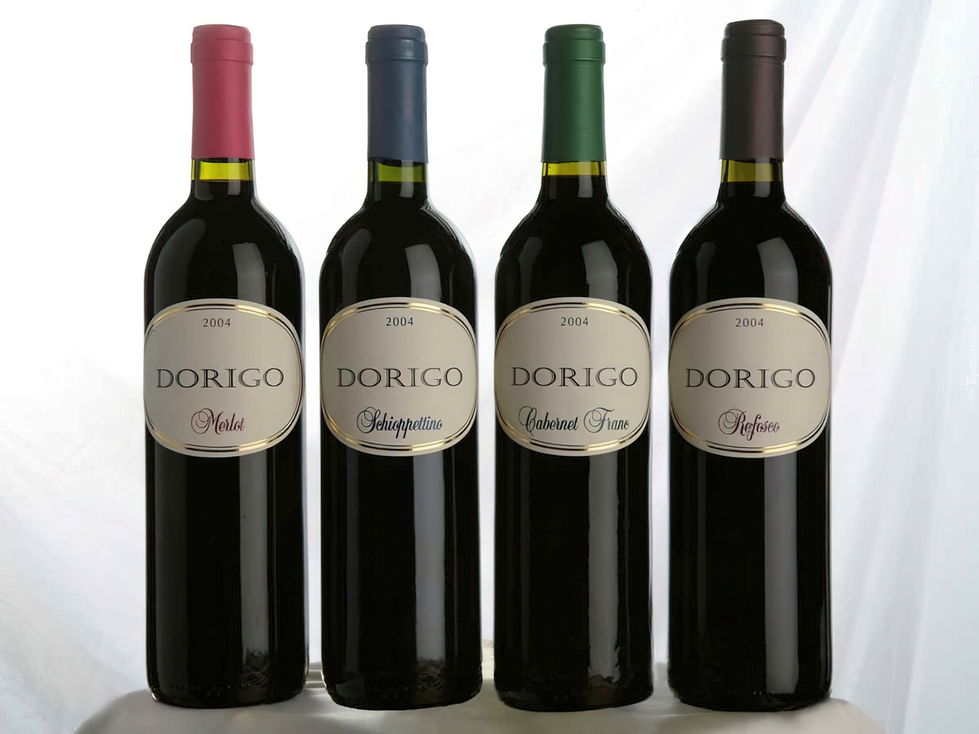 Wino, Dorigo