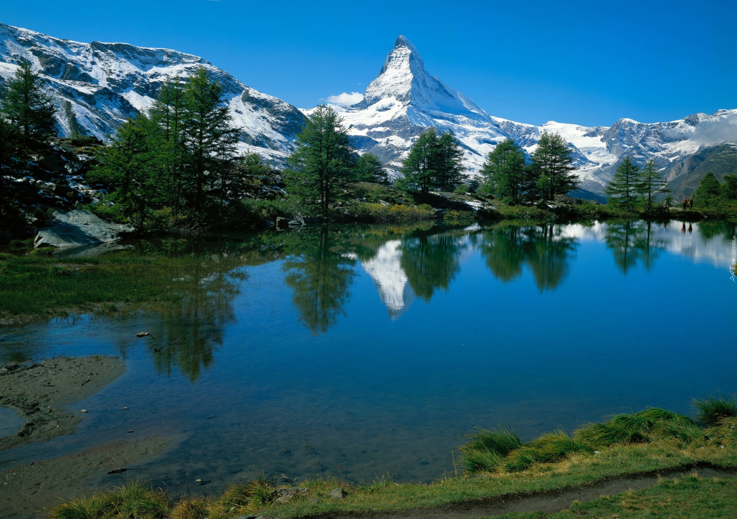 Góry, Alpy, Szczyt Matterhorn, Jezioro, Drzewa