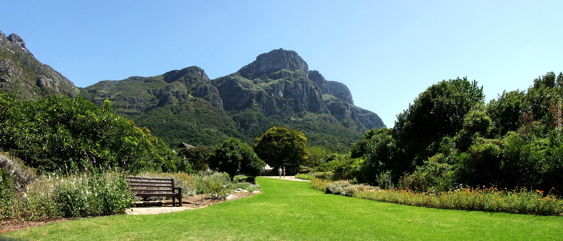 Góra, Stołowa, Park, Kirstenbosch