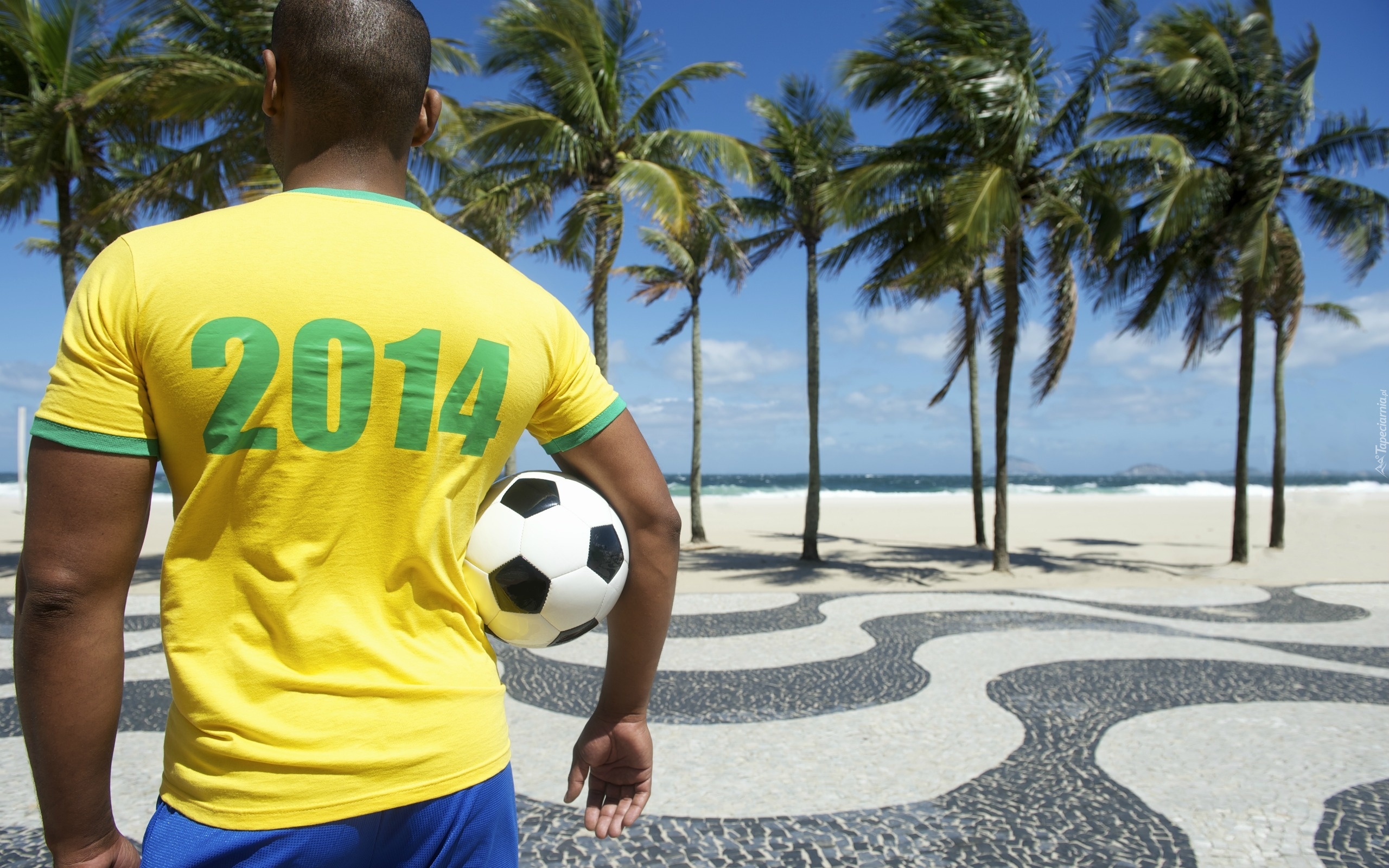 Mężczyzna, Piłka, Palmy, Brazylia, Mistrzostwa, Świata, 2014