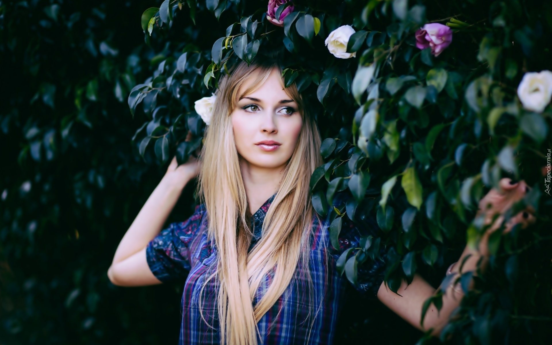 Blondynka, Makijaż, Park, Kwitnące, Drzewa, Wiosna