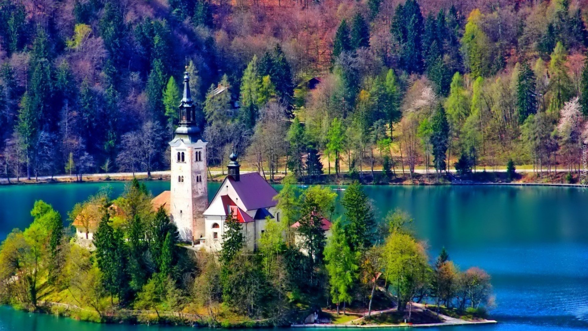 Kościół, Las, Jezioro, Bled, Słowenia