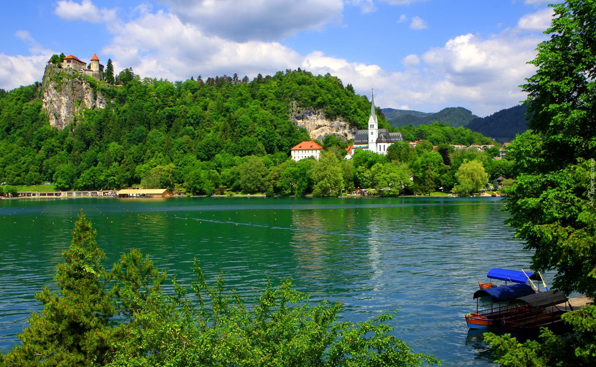 Słowenia, Jezioro Bled, Kościół, Wzgórze, Skała, Zamek Bled, Grad Bled