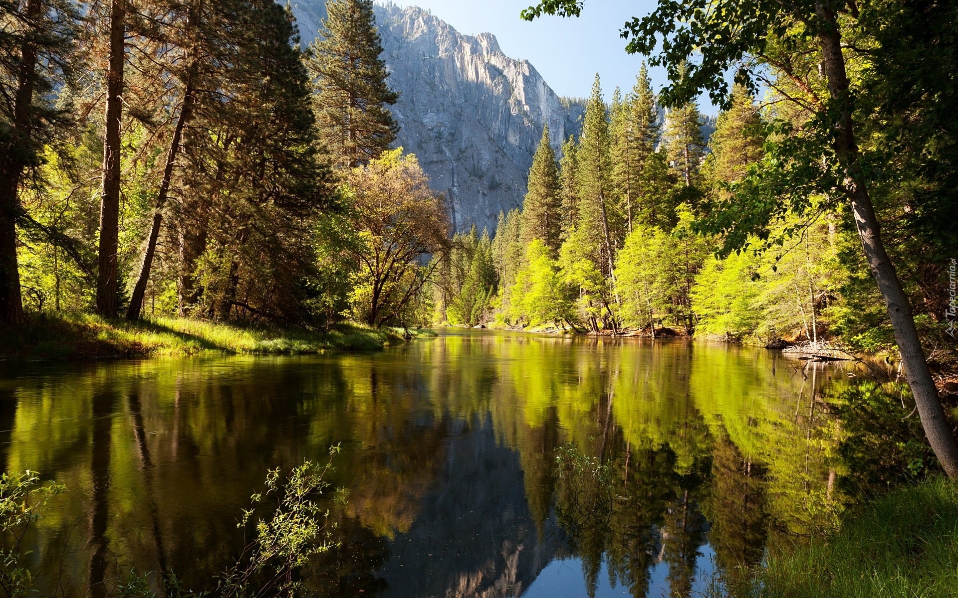 Stany Zjednoczone, Stan Kalifornia, Park Narodowy Yosemite, Góry, Rzeka, Las