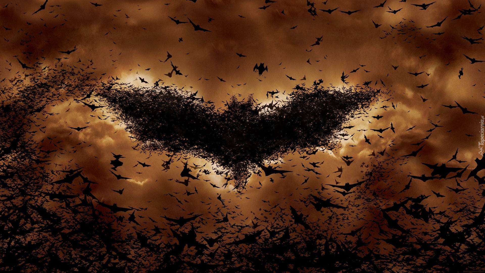 Batman, Begins, Nietoperze