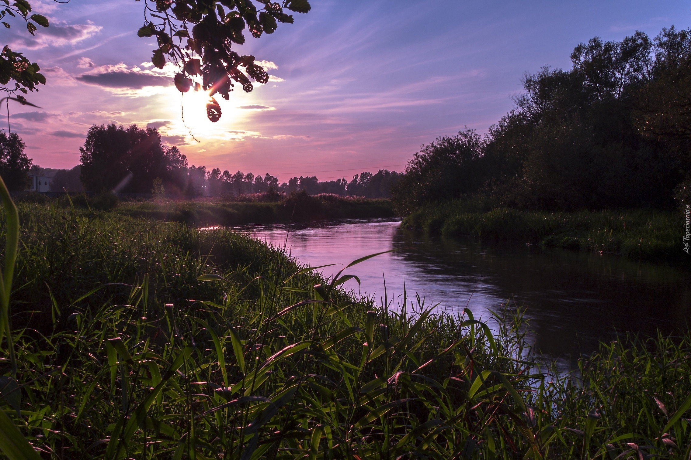 Rzeka, Zachód, Słońca, Trawa, Drzewa