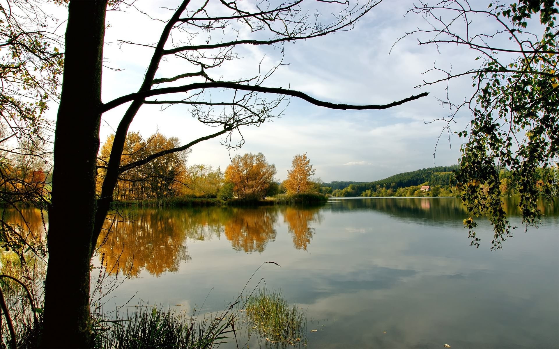 Rzeka, Drzewa, Góry, Lasy, Domy, Wiosna