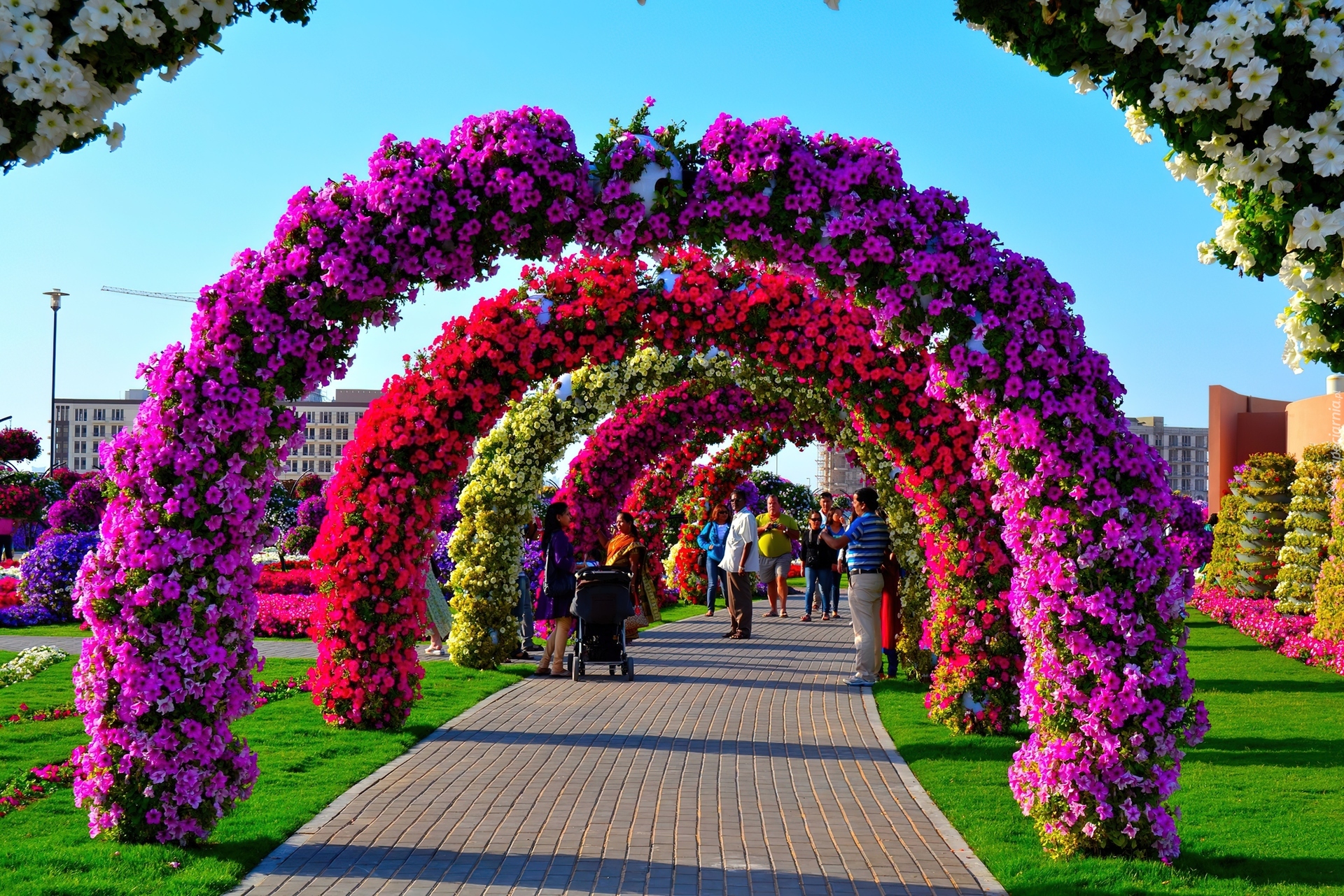Kwiatowy, Ogród, Dubaj