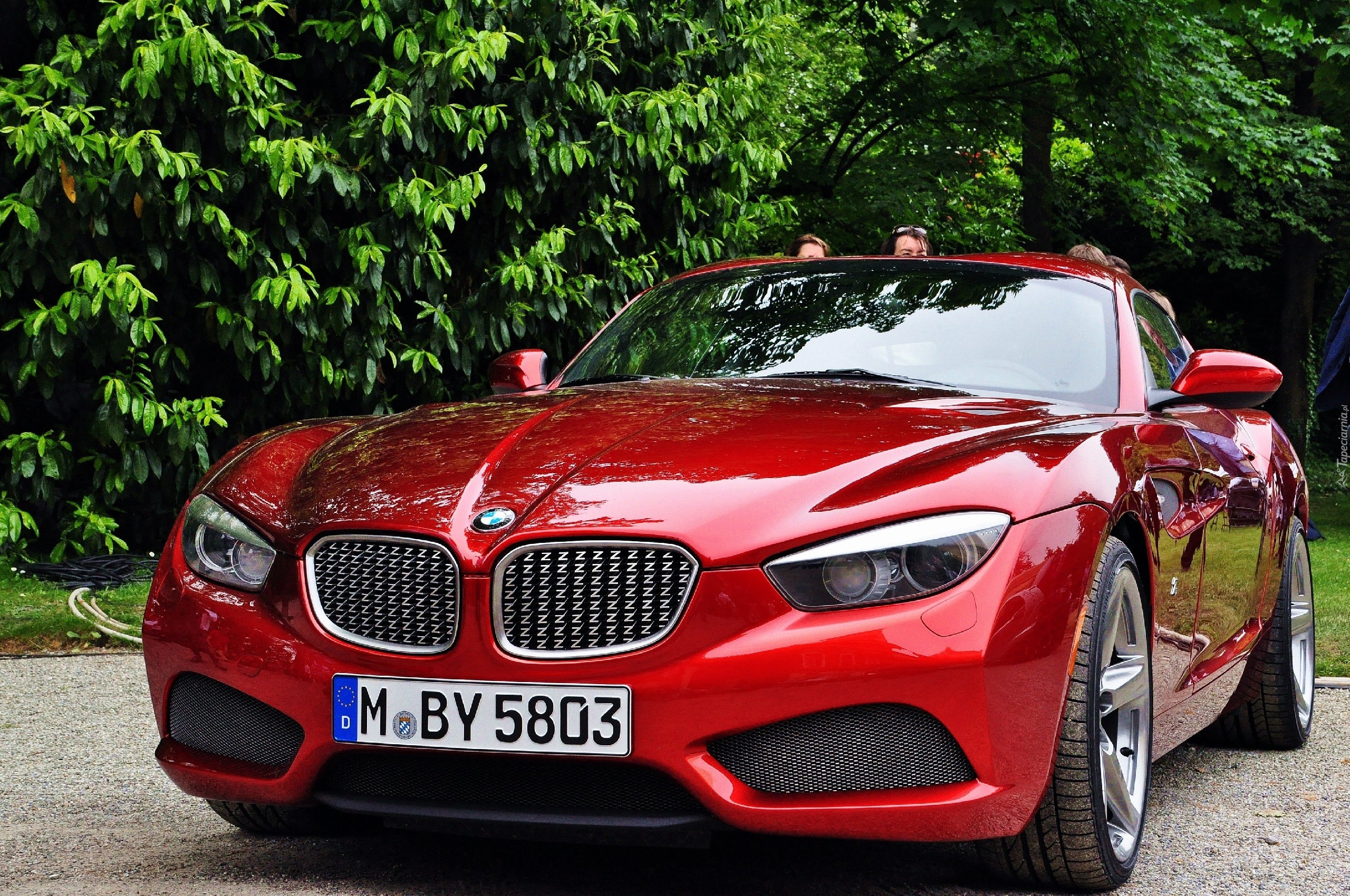 BMW Seria Z4, Zagato, Czerwony