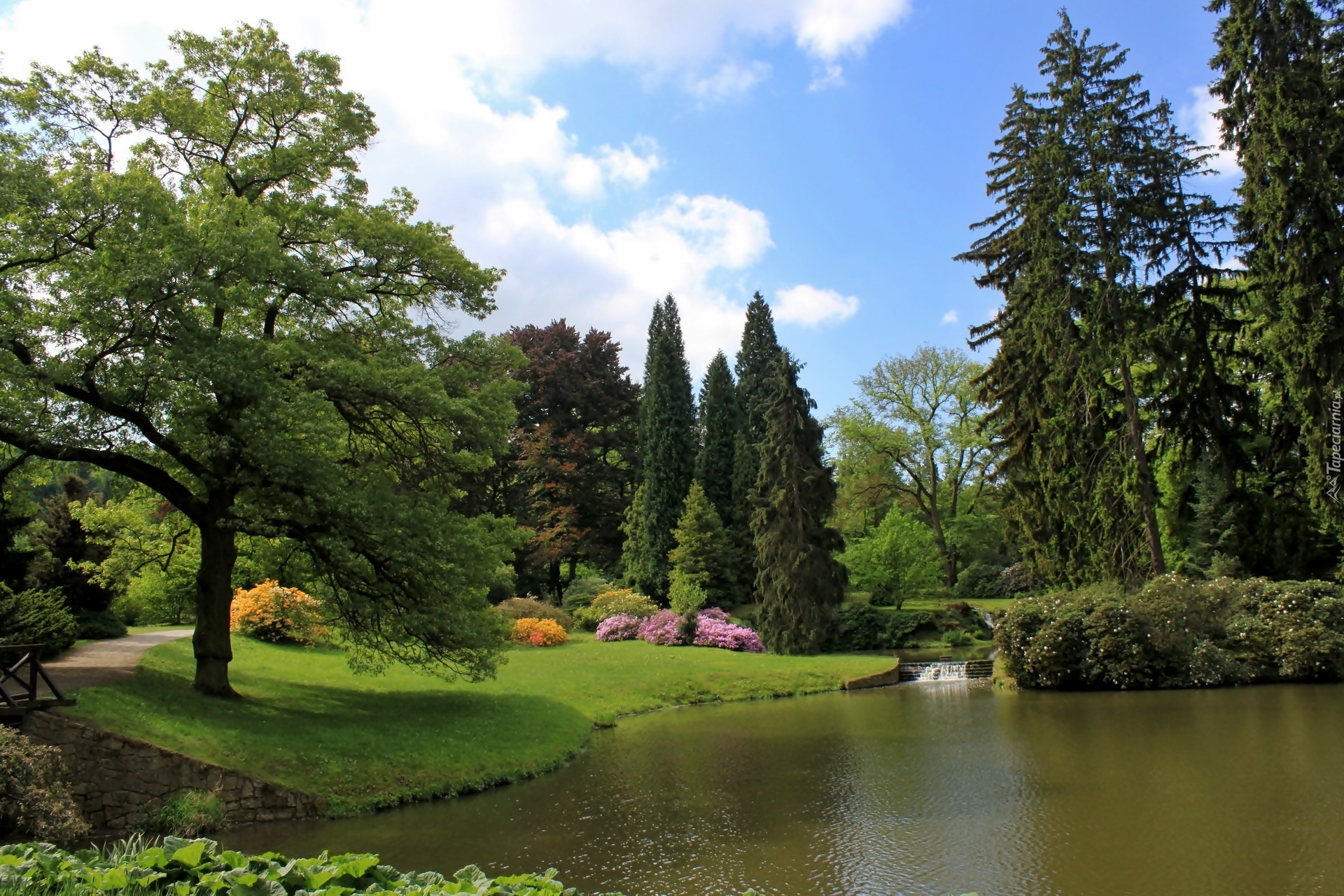 Pruhonice, Park, Staw, Przebijające, Światło