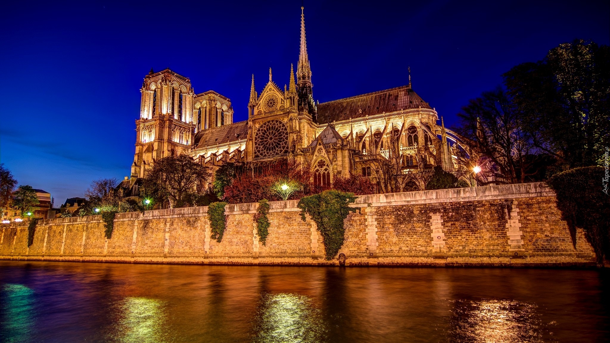 Oświetlona, Katedra Notre Dame, Noc, Paryż, Francja
