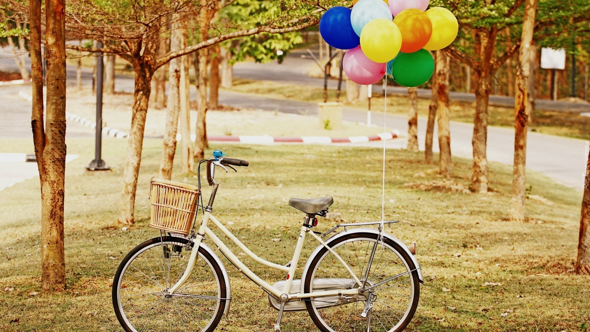 Rower, Park, Balony