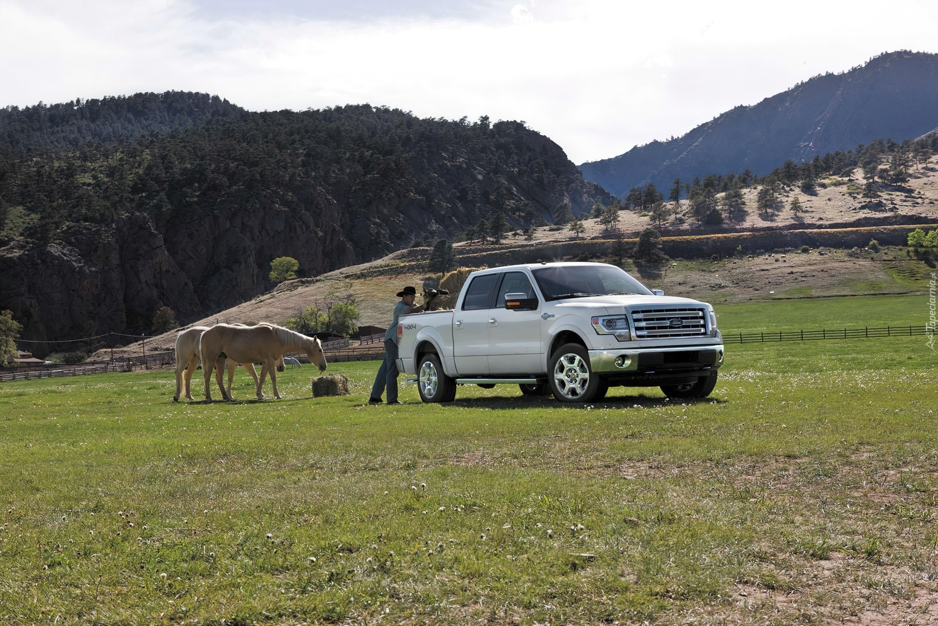 Ford F-150, King Ranch