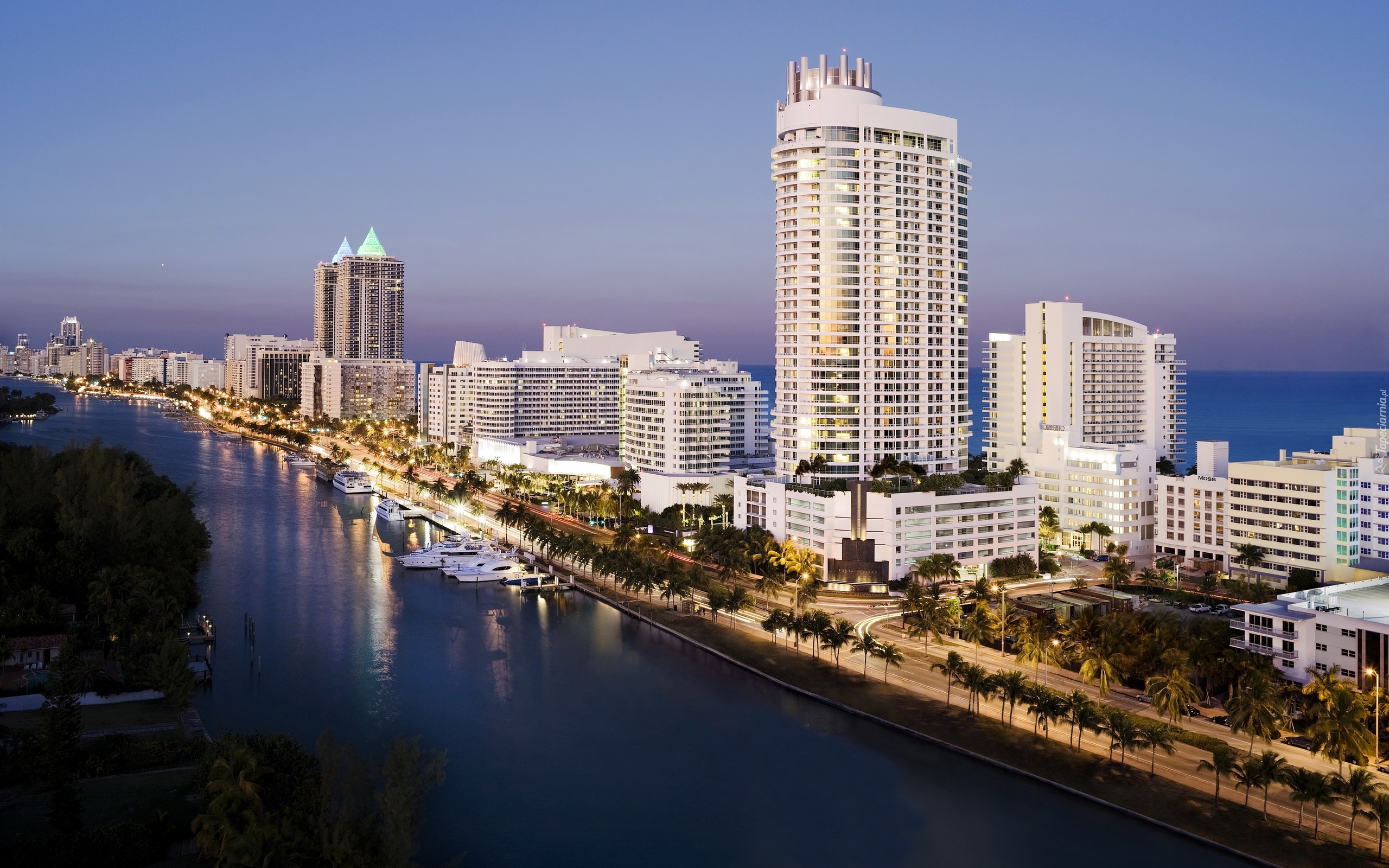 Miasto, Miami, Panorama, Palmy, Jachty, Ocean, USA