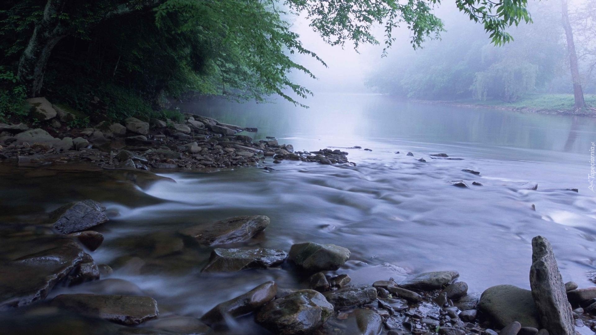 Rzeka, Kamienie, Mgła