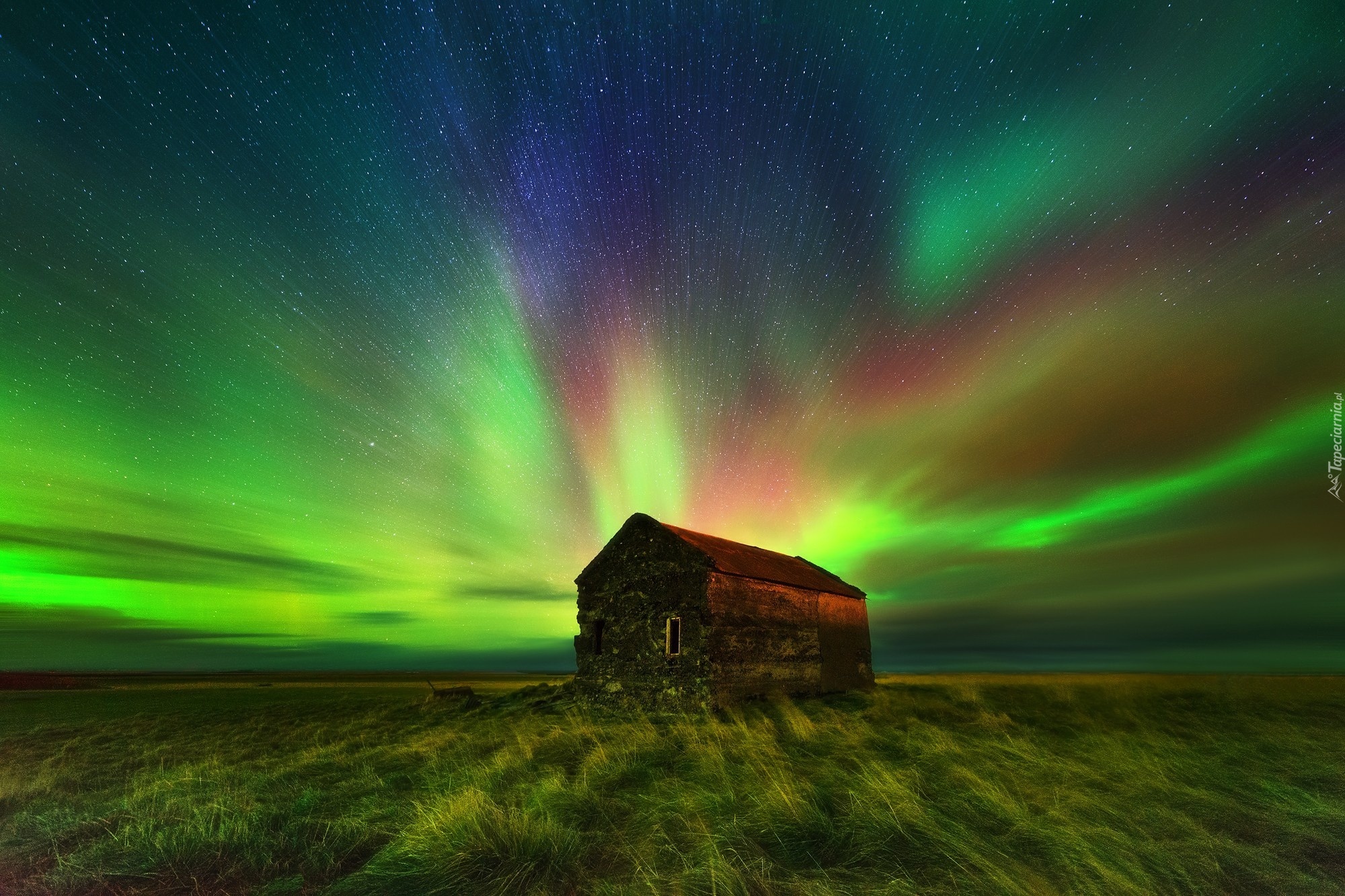 Stary, Dom, Łąka, Zorza Polarna, Islandia