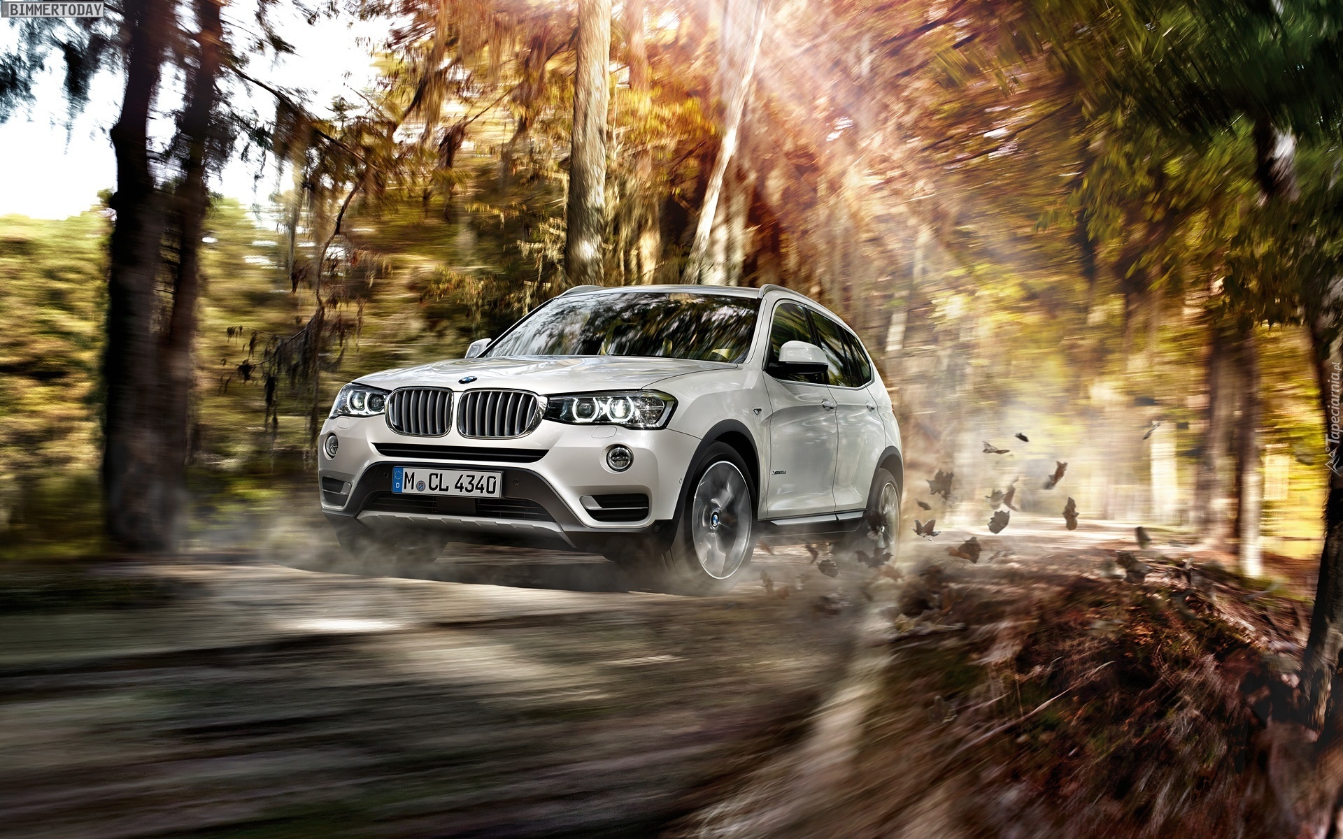 Bmw X3, Droga, Drzewa