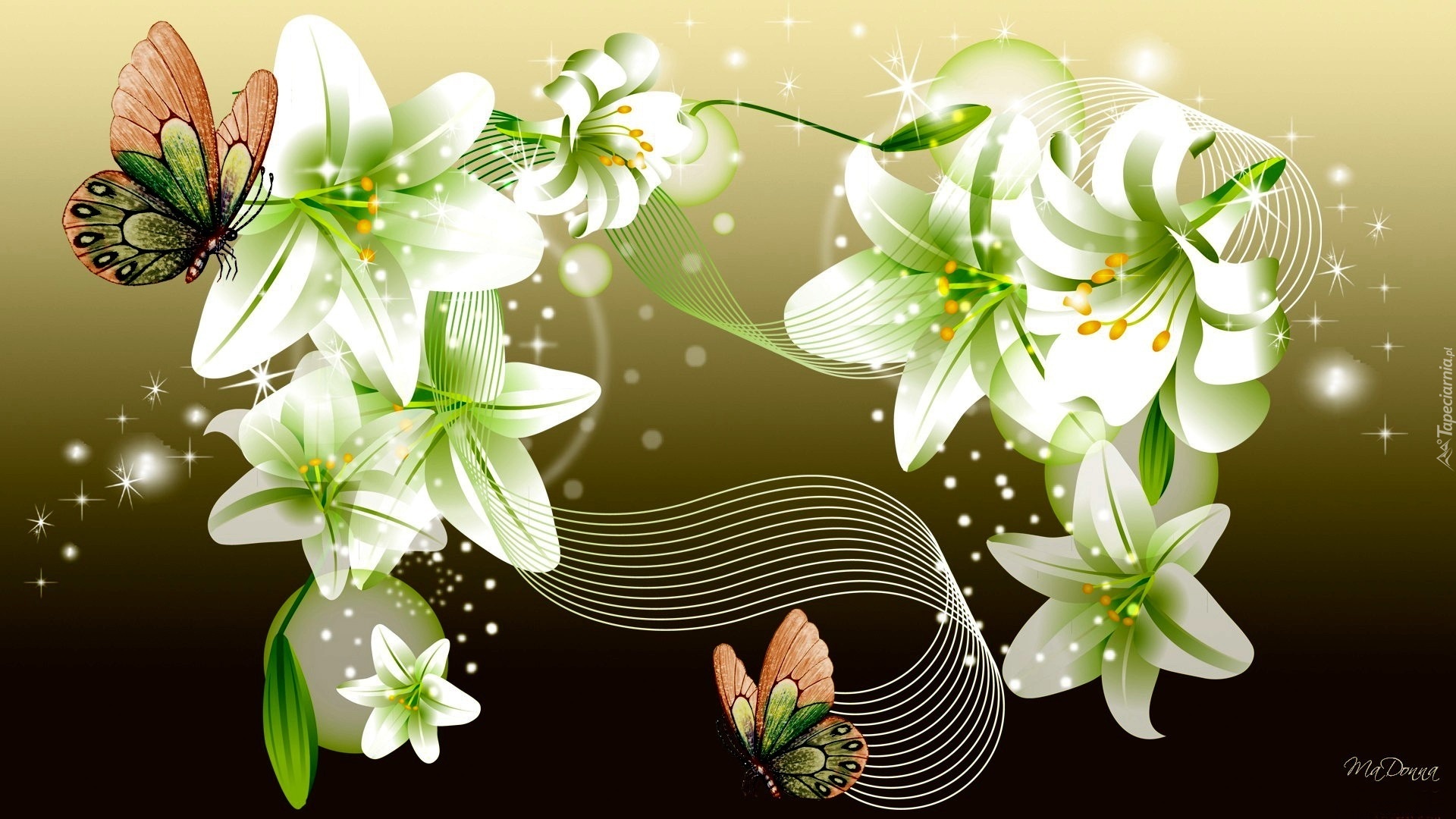 Открытка с цветами лилии. Лилии фон. Цветы на салатовом фоне. Белые лилии на зеленом фоне. Обои на рабочий стол лилии.