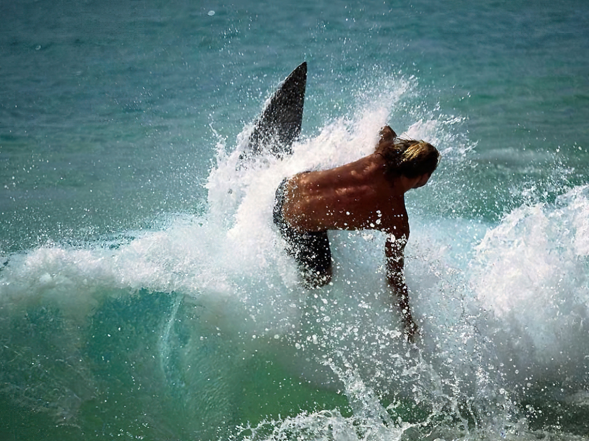 Windsurfing, fala