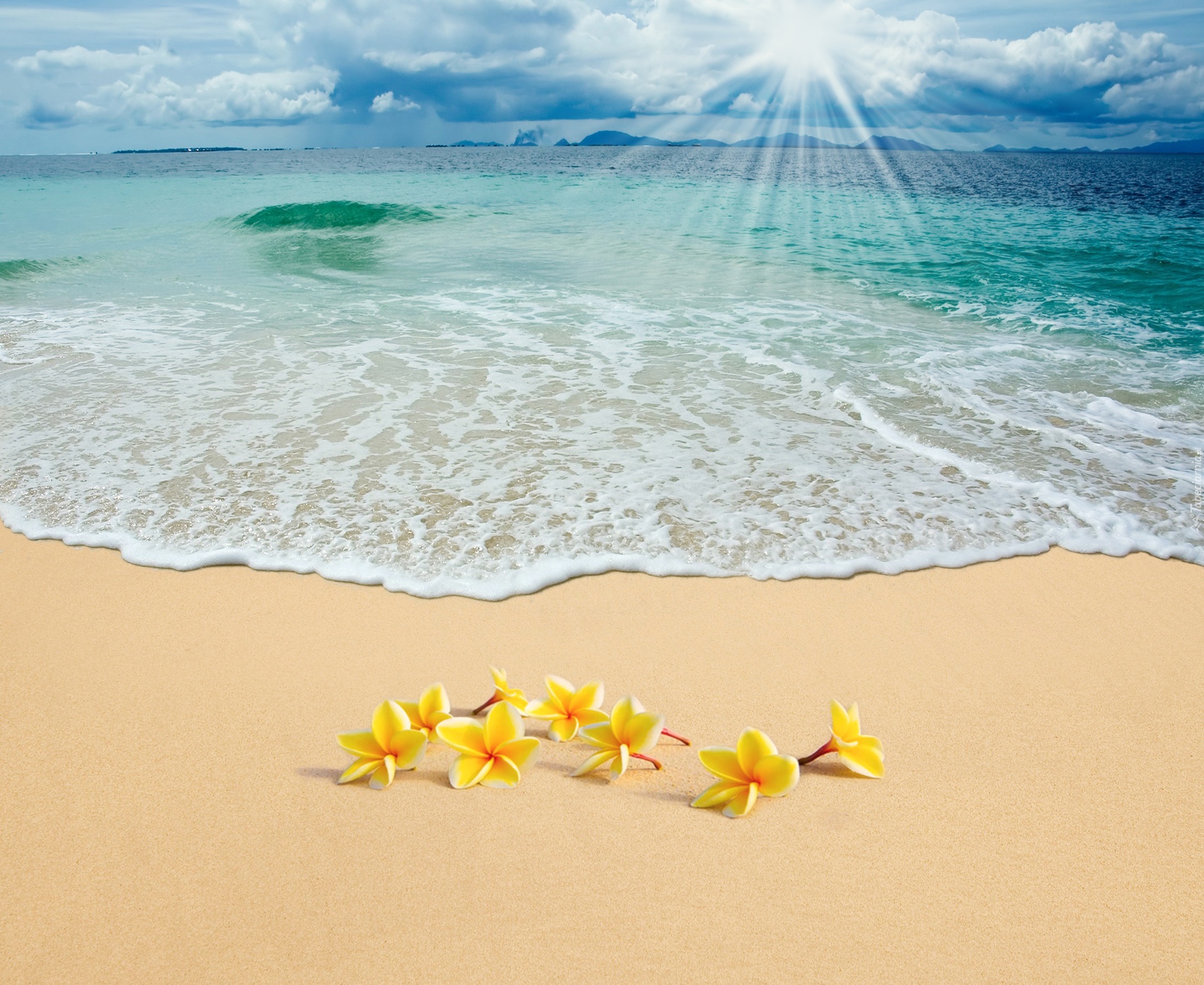 Promienie, Słońca, Morze, Plaża, Kwiatuszki