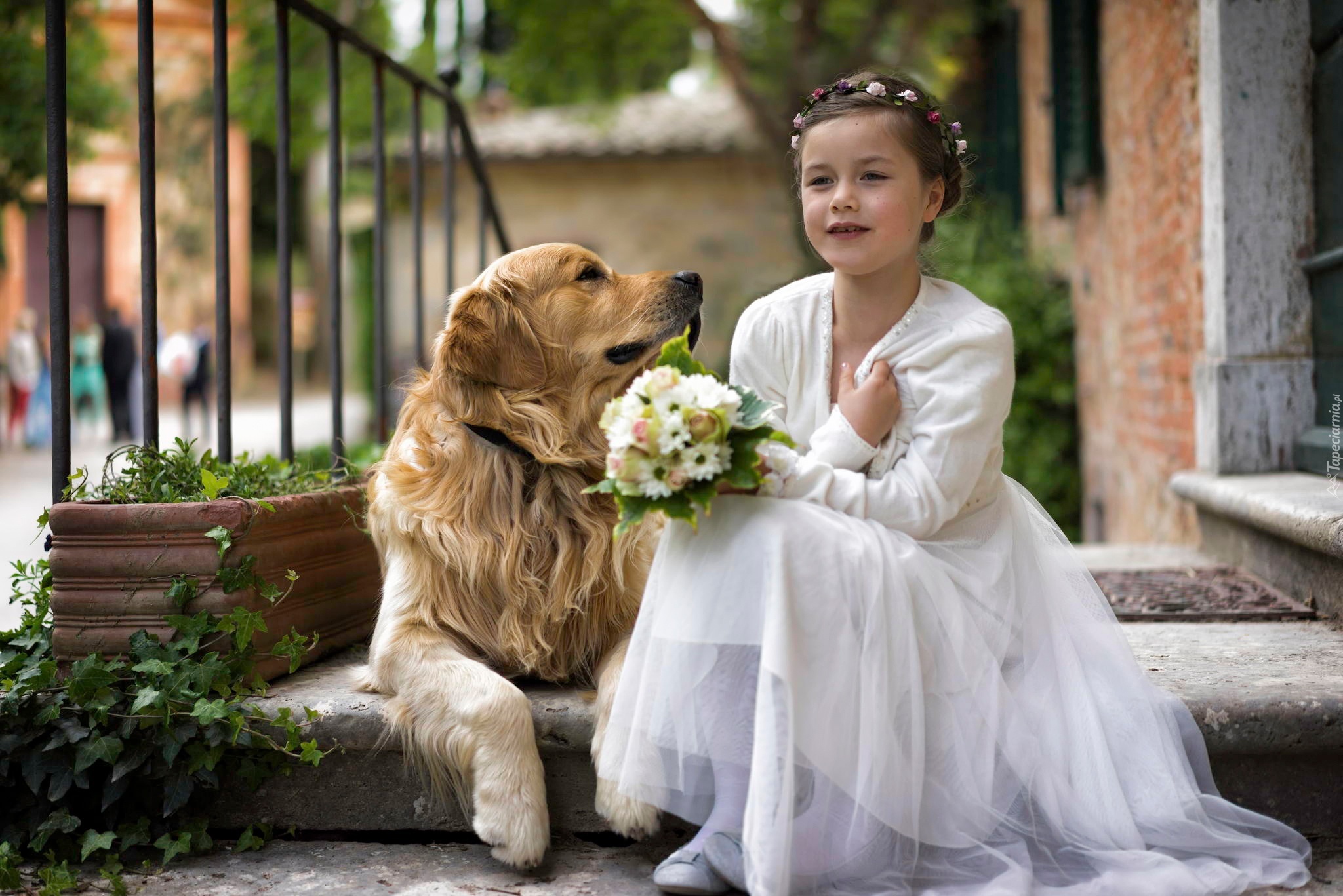 Dziewczynka, Piesek, Golden Retriever, Kwiaty, Bukiecik