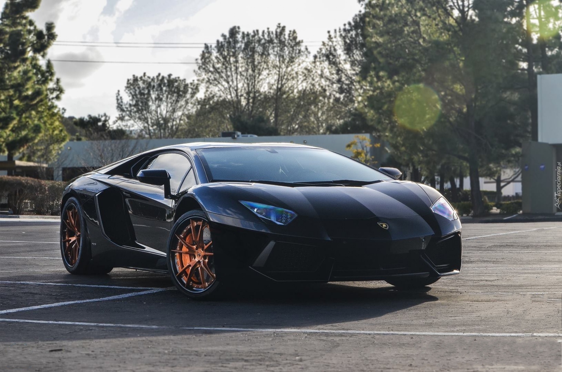 Lamborghini, Aventador, Drzewa