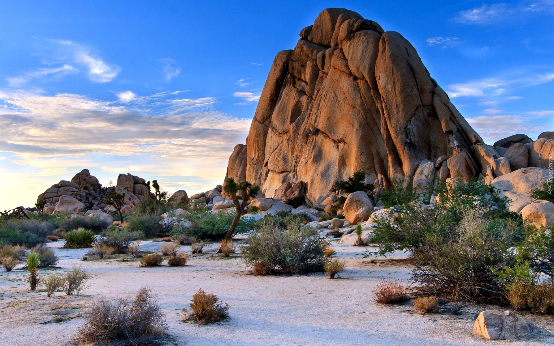 Stany Zjednoczone, Kalifornia, Park Narodowy Joshua Tree, Pustynia, Skała