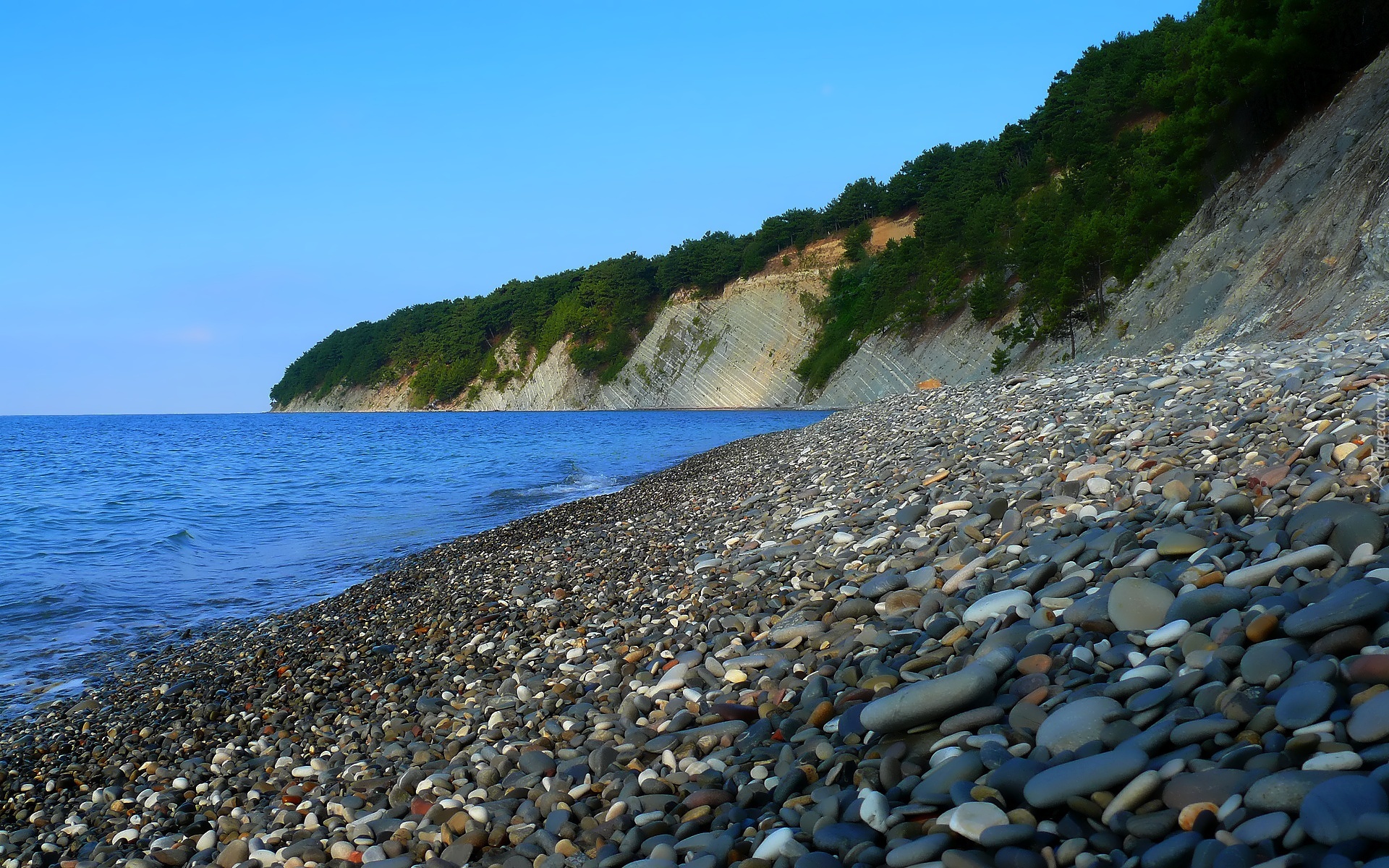 Morze, Kamienie, Plaża, Skały, Rośliny