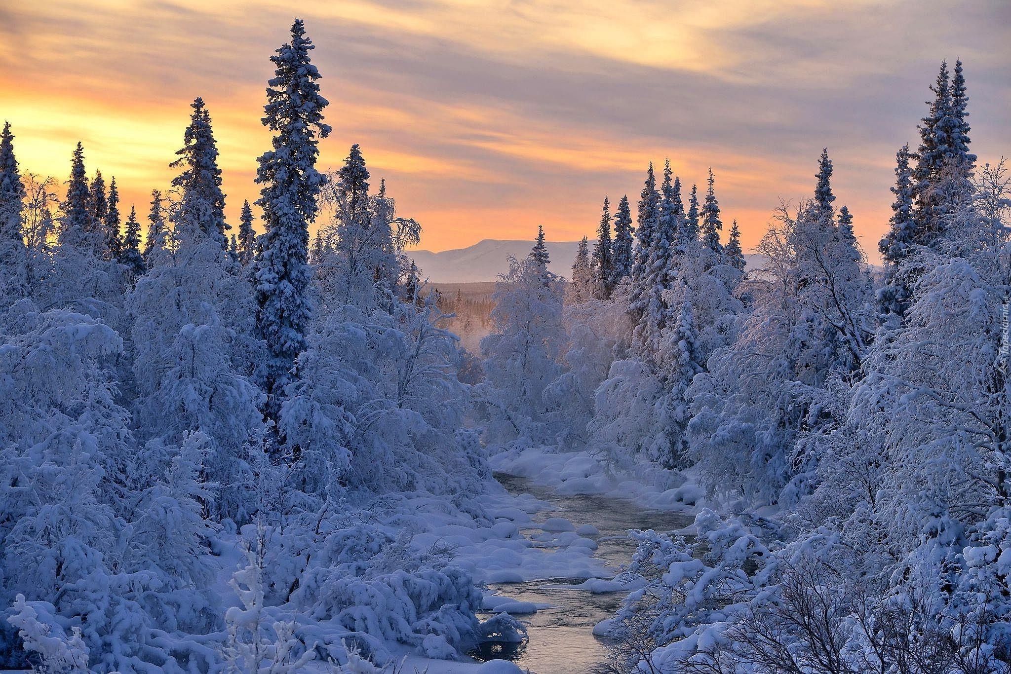 снег зима ели речка snow winter ate the river бесплатно