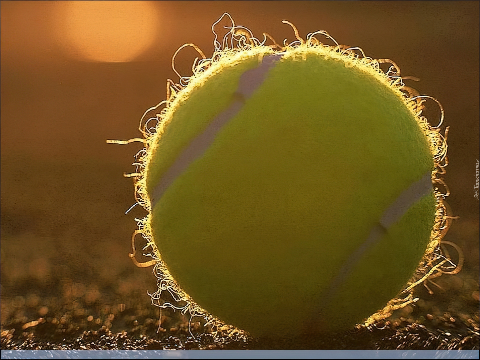 Tennis,piłka do tenisa