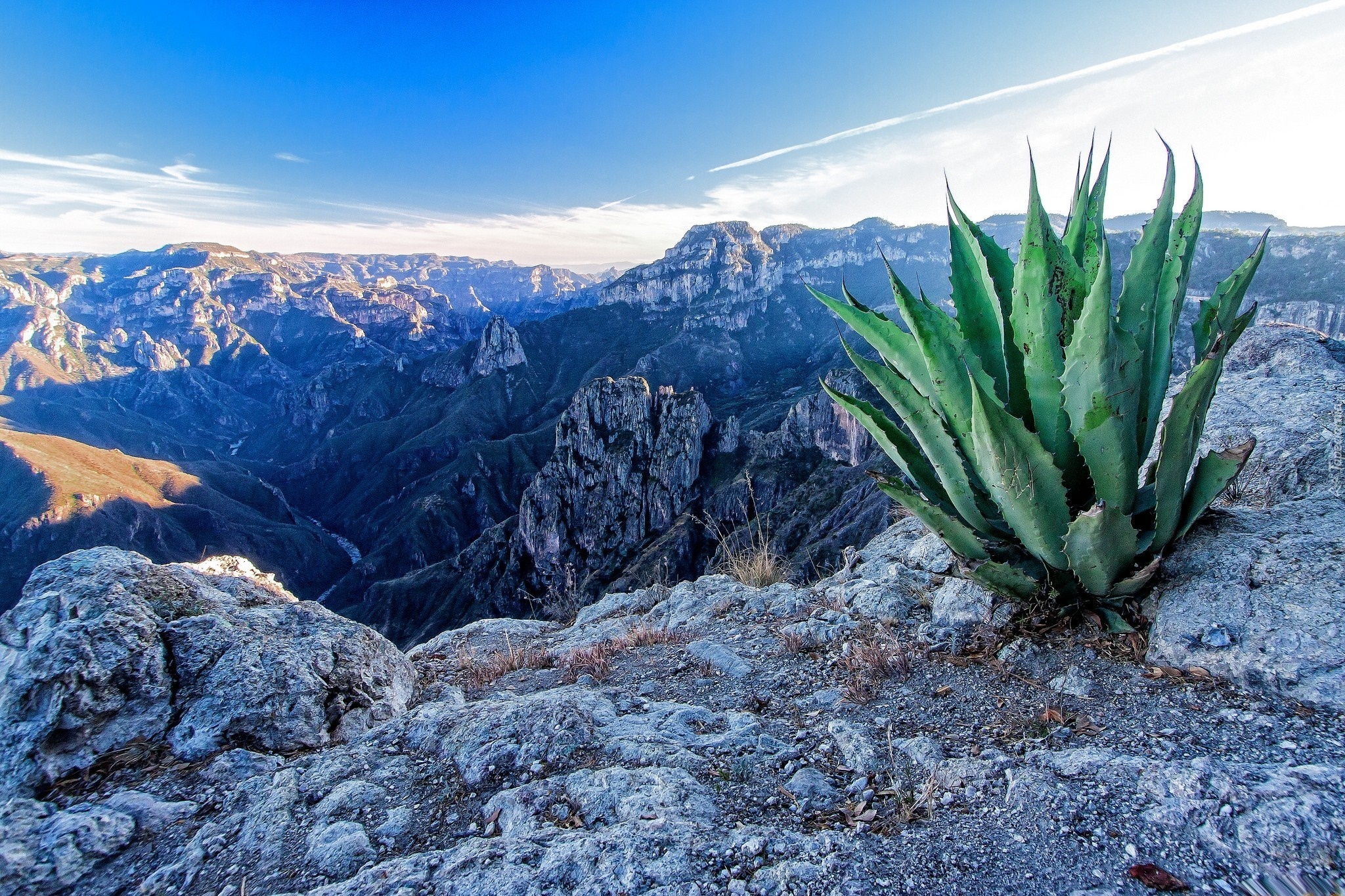 Góry, Skały, Aloes