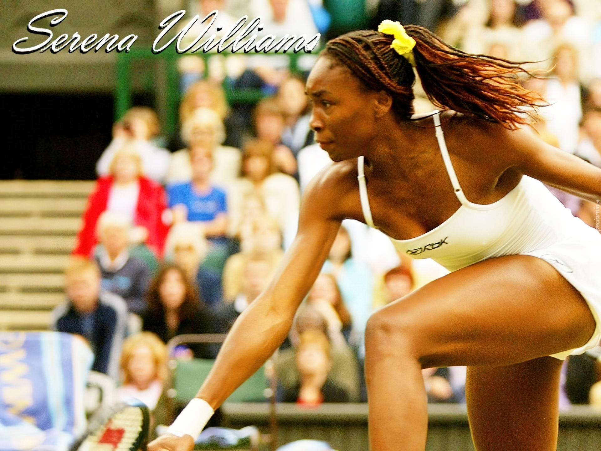 Tennis,Serena Williams