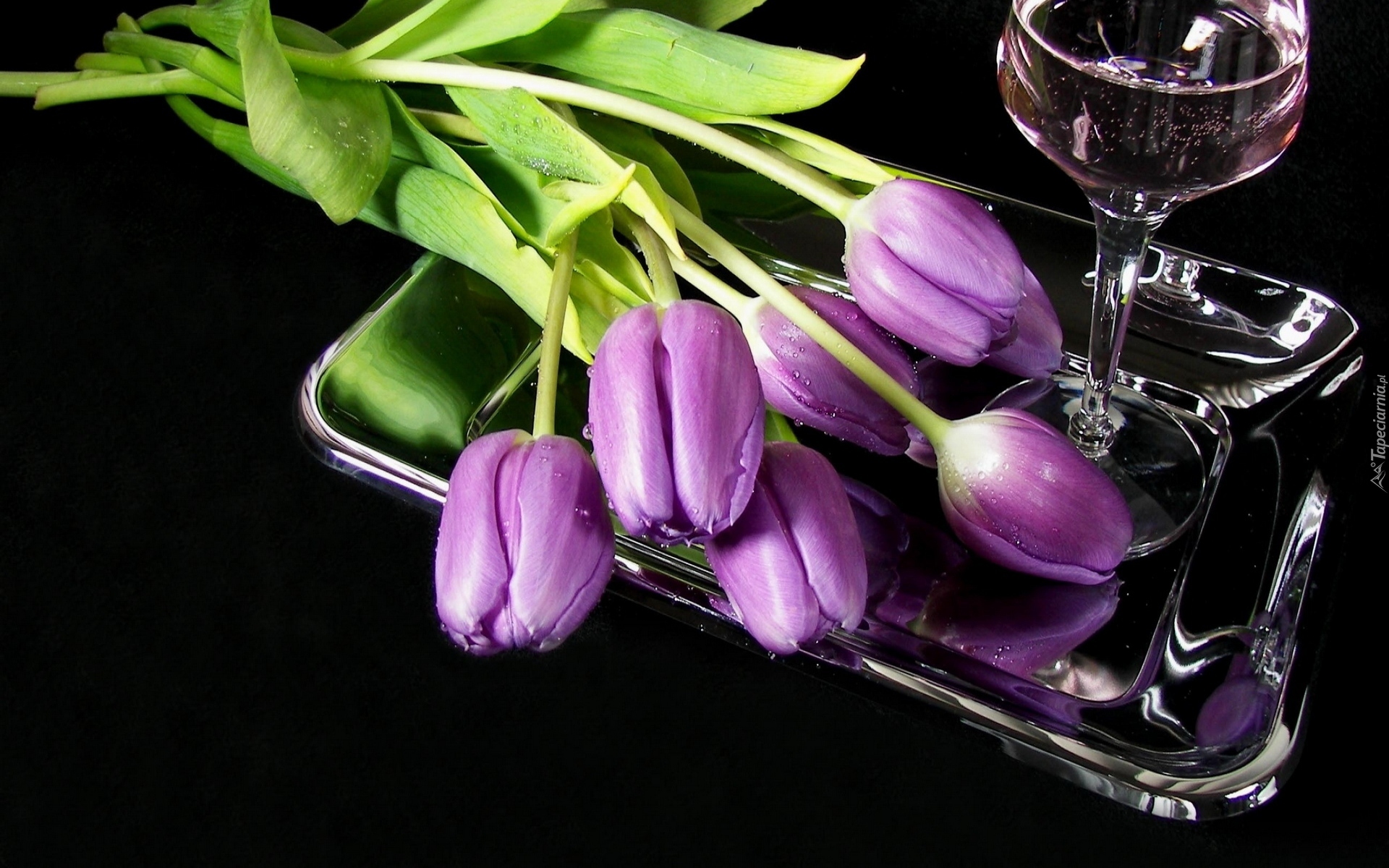 Fioletowe, Tulipany, Wino, Kieliszek