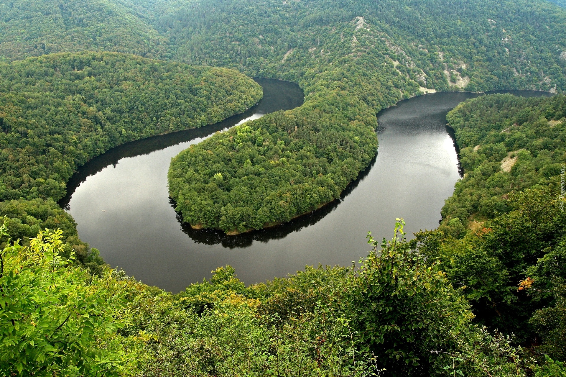 Rzeka, Lasy