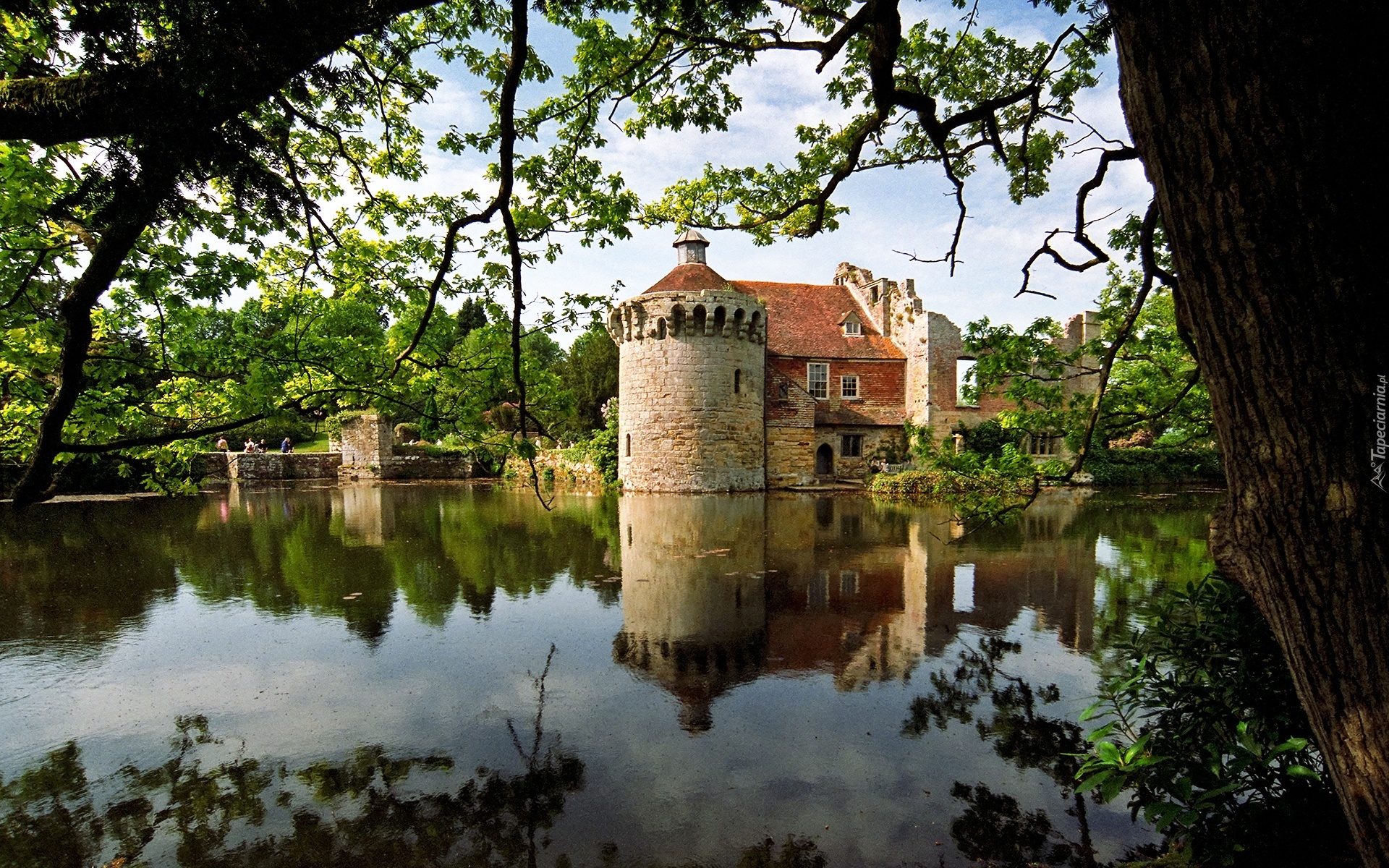 Drzewa, Staw, Dworek, Scotney Castle, Hrabstwo Kent, Anglia Dworek