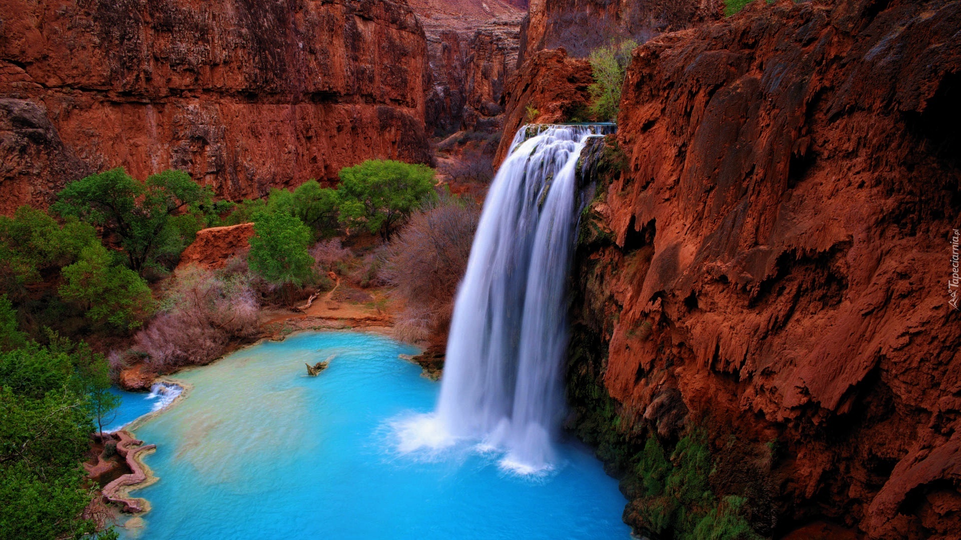 Wodospad, Havasu, Arizona, Skały, Drzewa