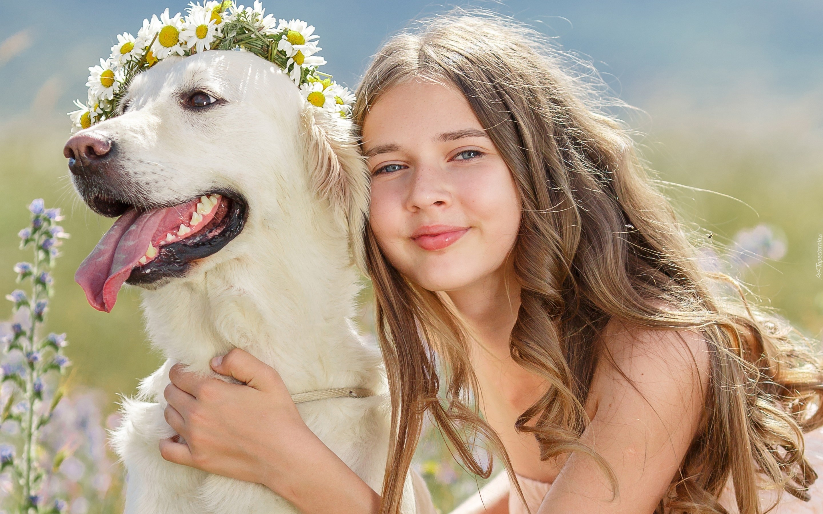 Dziewczynka, Golden Retriever, Wianek