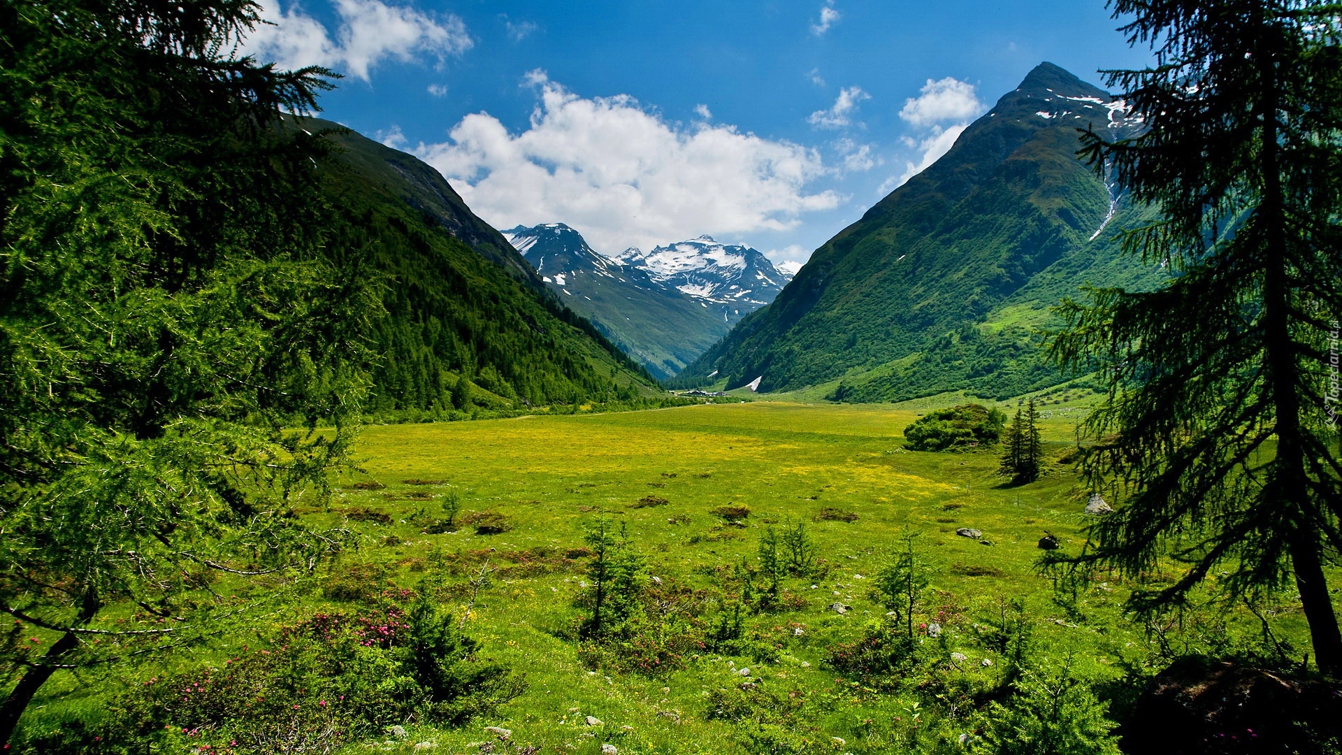Góry, Lasy, Tyrol, Austria