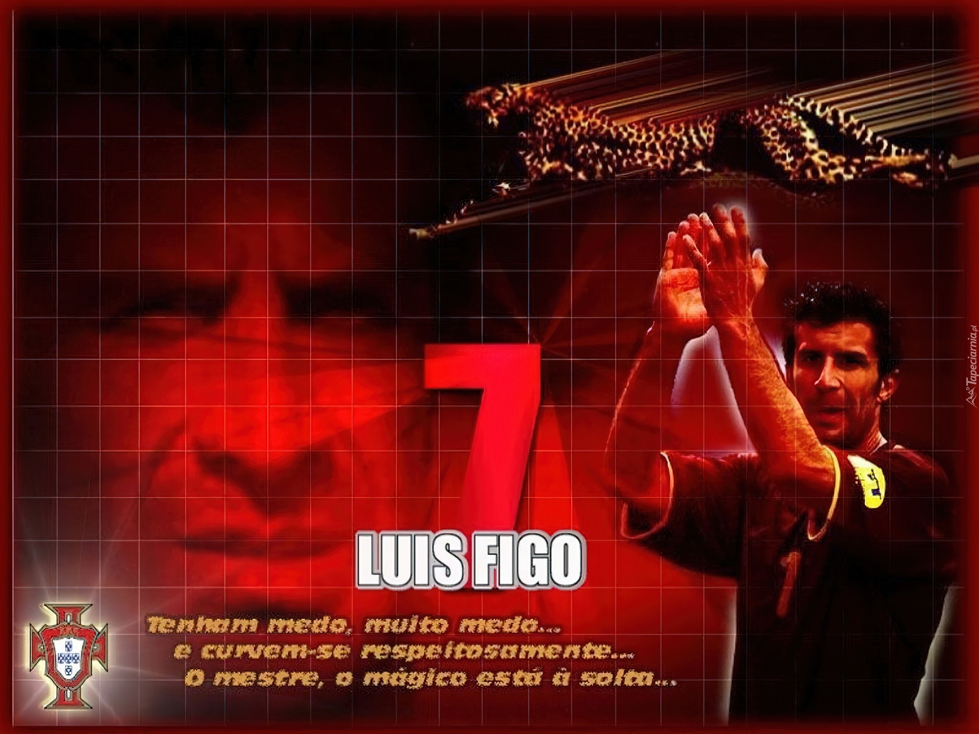 Piłka nożna,Luis Figo