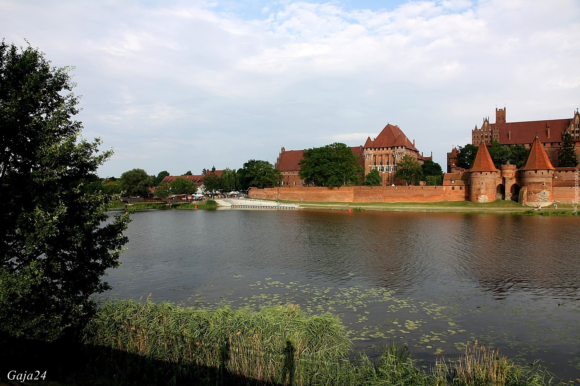 Zamek Krzyżacki, Rzeka Nogat, Malbork, Polska