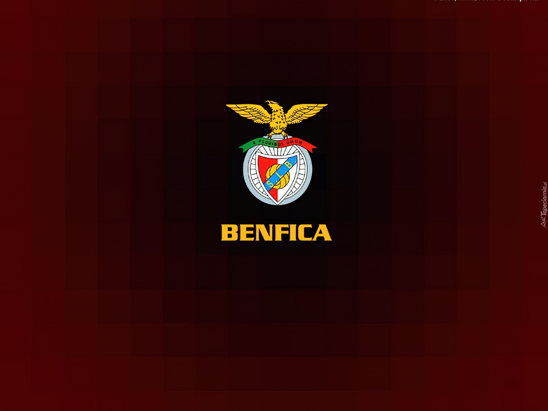 Piłka nożna,znaczek, BENFICA