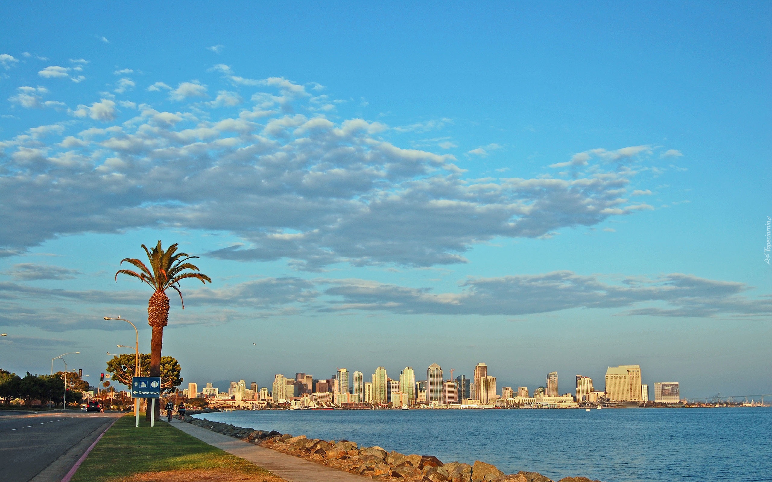 Stany Zjednoczone, San Diego, Drapacze Chmur, Ocean, Palma, Chmury