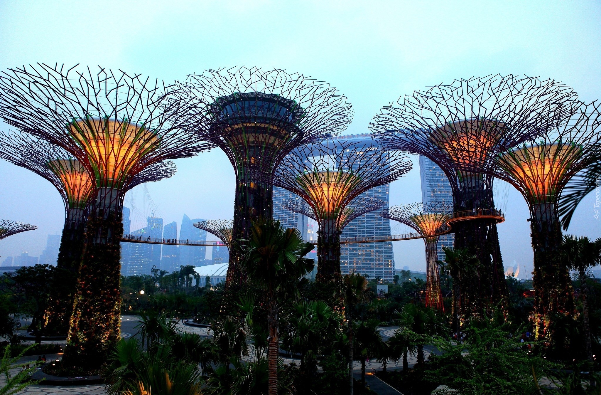 Ogród, Hotel, Marina Bay Sands, Singapur