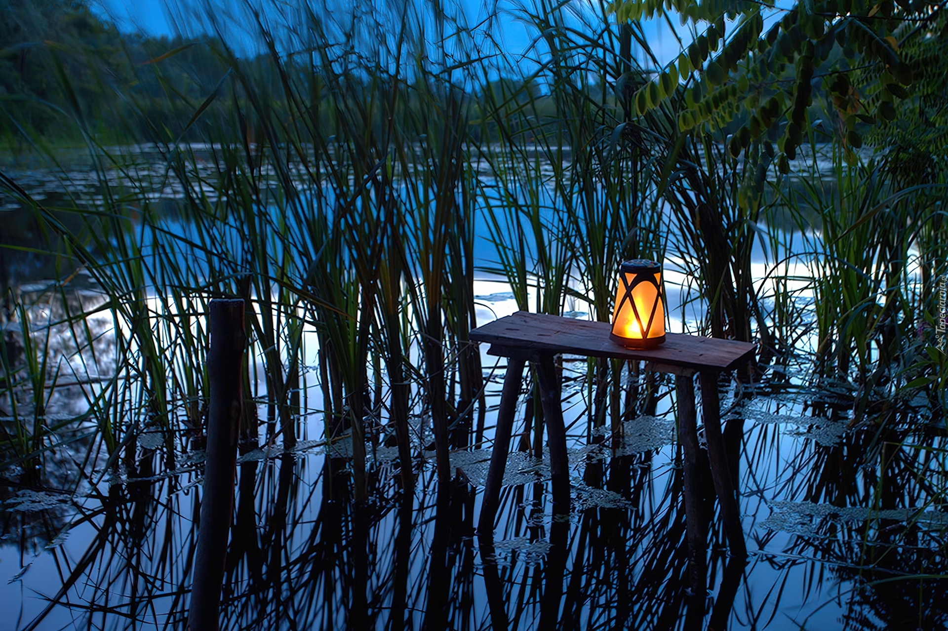 Stolik, Lampion, Suche, Trawy, Odbicie, Staw