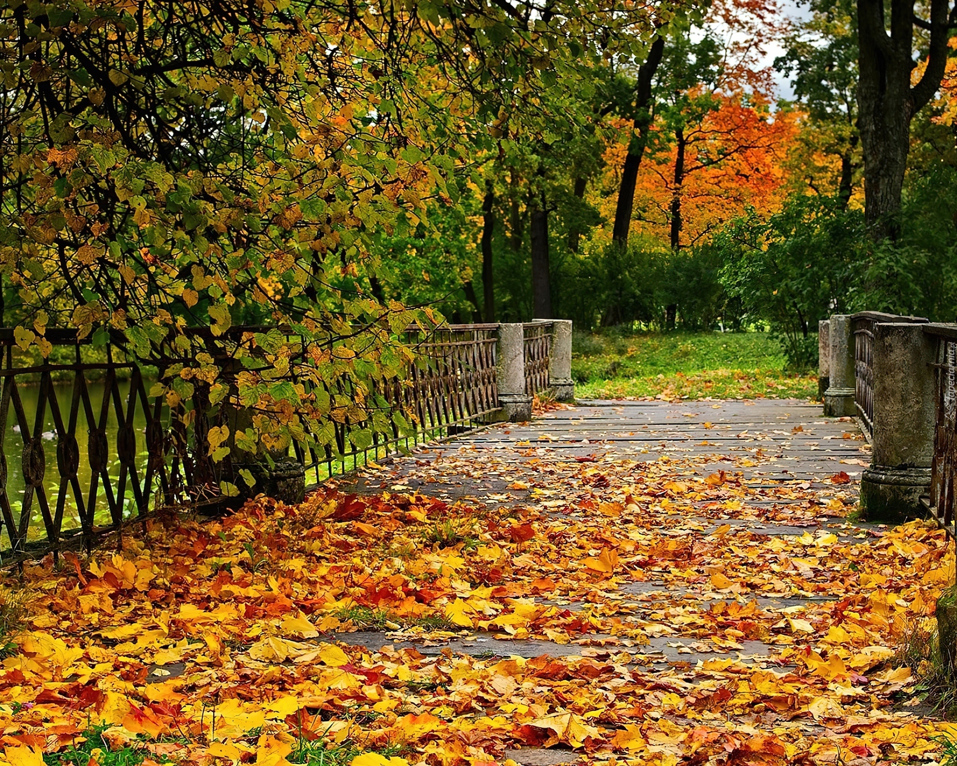 Park, Liście, Jesień, Mostek